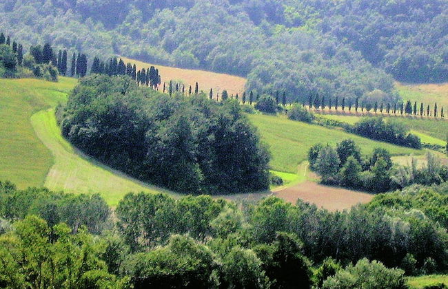Peaceful Apartment, Ghizzano - Foto 39