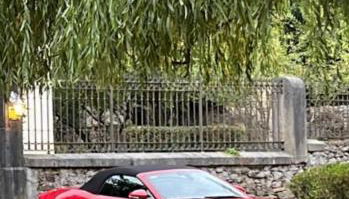 Caserío vasco de categoría - Foto 2