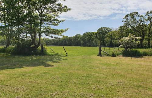 The New Forest Manor Apartment - Photo 6