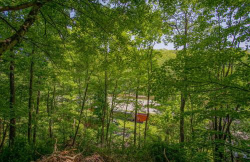 5 Br: Historic Glaab House in Cass, with AC, Amazing Kitchen, Covered Porches, Historical Landmark - Foto 46