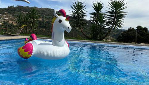 Paraiso Relax no Douro - Foto 3