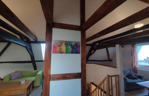 Kastanie im Neandertal - Foto 12