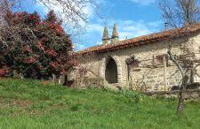 Los Prejones - Photo 1