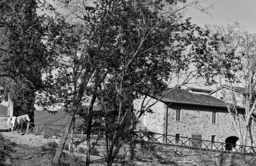 Antico Casale di Ferdinandi - Foto 38