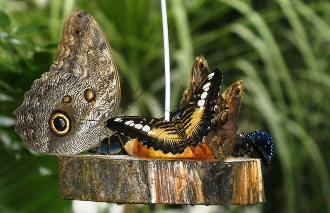 tenuta castel dell'aquila - Photo 31