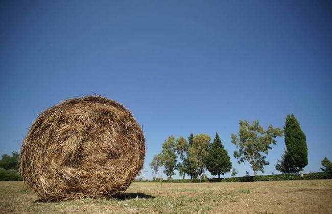 La Tavernola Agriturismo - Tenuta Mandia - Foto 13