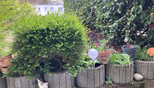 Geräumige Wohnung bei Basel - Foto 4