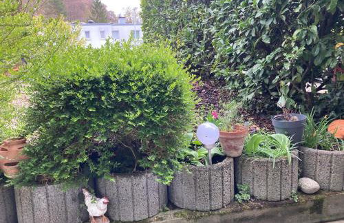 Geräumige Wohnung bei Basel - Foto 4