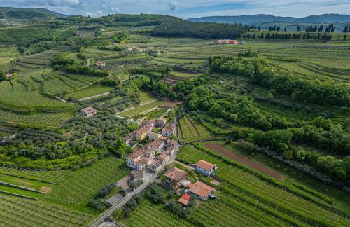 Dimora Valpolicella tra Ulivi e Vigneti - Foto 78