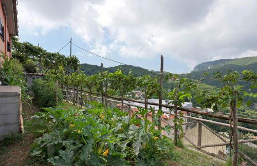 Prima Luce - Foto 24