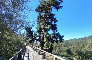 Apto. PIÑA DE MAR - Foto 44