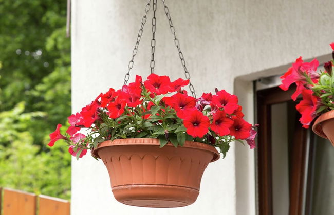 Apartment Near Willingen & Winterberg Ski Slopes - Photo 20