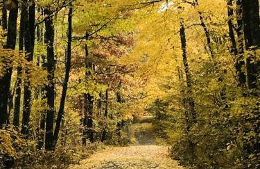 Cozy Lakefront Retreat with Game Room, Outdoor Living and Dock in Wisconsin - Foto 18
