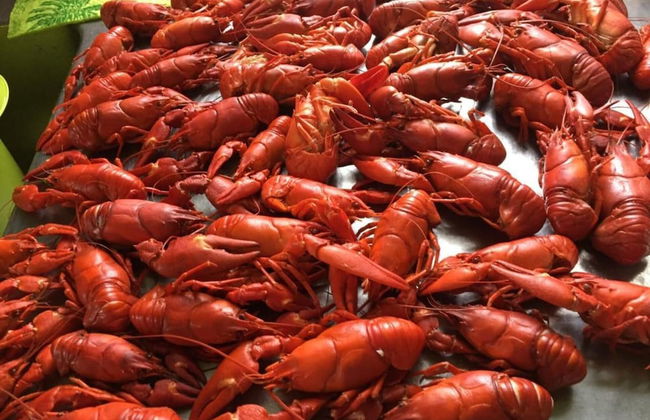 Tiny hut in the Forest Overlooking the River - Photo 19
