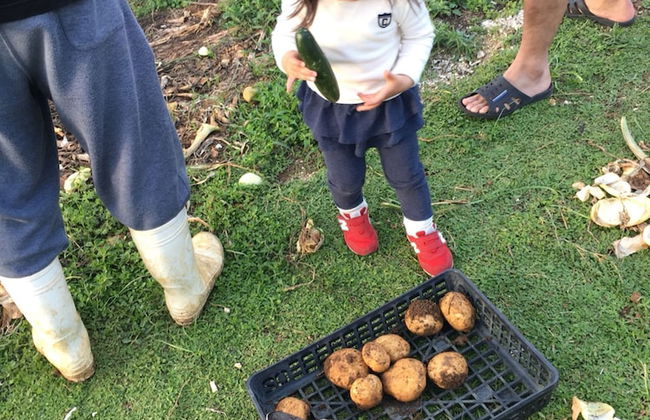 Kourijima KANAU - Foto 53