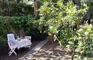 L' eden di Erasmo - Foto 8