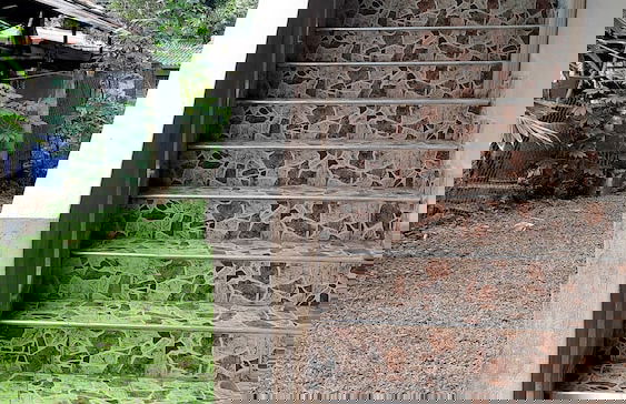 Residence Kuruniyavilla - Photo 54