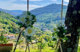 Private Douro- Quinta das Susandas - Foto 47
