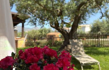 Azienda Agrituristica Baglio Carta - Foto 19