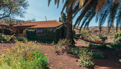 Casa Palmera - Photo 4, Garden