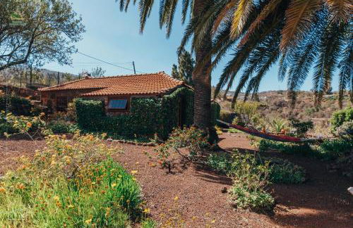 Casa Palmera - Photo 4