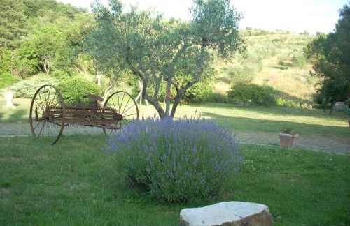 Agriturismo Le Roghete - Foto 26