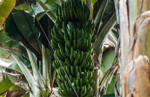 THE TEIDES WINDOW swimming pool LA VENTANA DEL TEIDE - Foto 67
