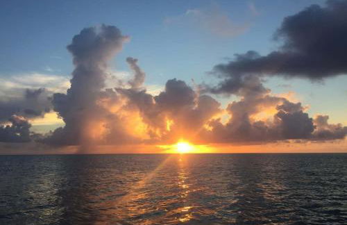 Walk to Best Eats and Shops and Stay in Style - Photo 22