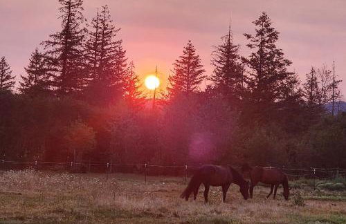Willamette Valley Home on Working Horse Farm! - Foto 32