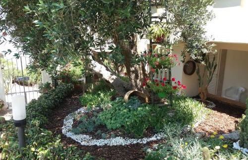 Appartamenti Baia Azzurra - Foto 65