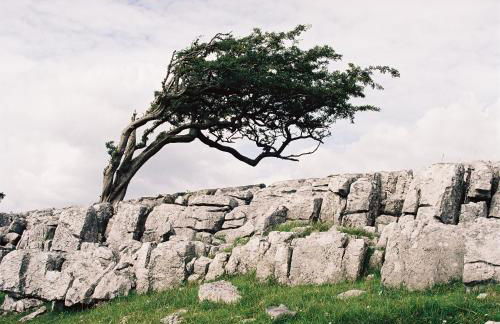 Dugdales Cottage - Foto 27