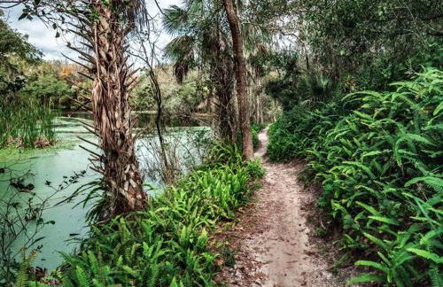 EREHWON RETREAT Private ELEGANT LIVING - Foto 37