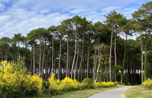 Maison en forêt, calme, proche village et piste cyclable - meublé 3 étoiles - Foto 31