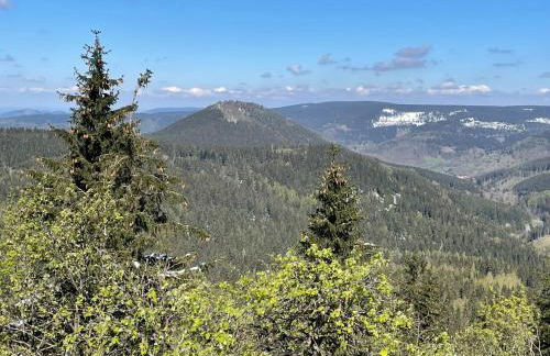 Thüringer Wald-Zauber - Foto 32