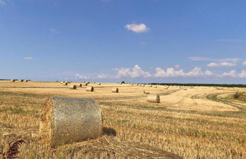 Ferienwohnung Warthe - Foto 19