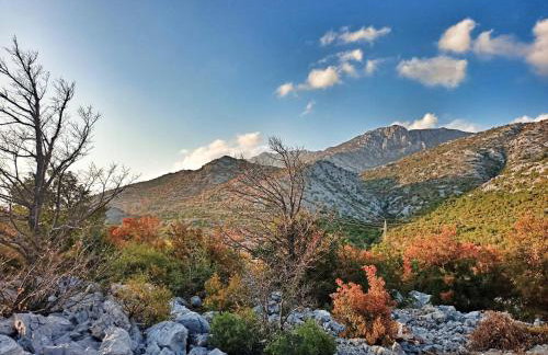 Apartmani Verica - Foto 66