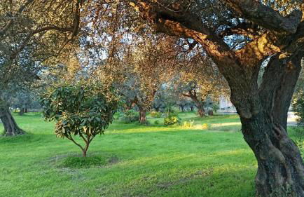 Rizaki Cottage in Nafpaktos - Foto 39