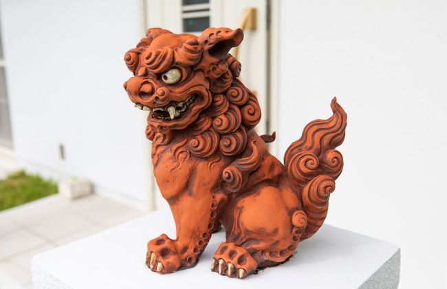 wisteria ocean Nakijin - Foto 31