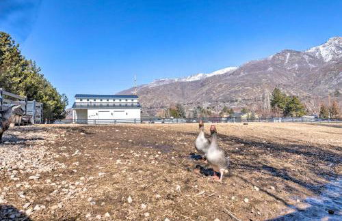 Modern Farmhouse with Patio, Grill and Mtn Views! - Foto 23