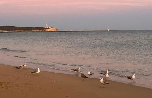 GM Premium Portimão - Foto 61