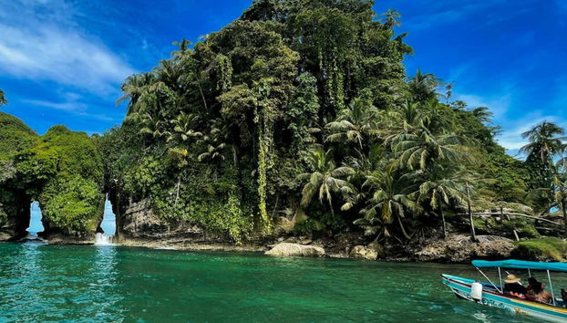 Starfish Beach & Bird Island Day Trip - Foto 2