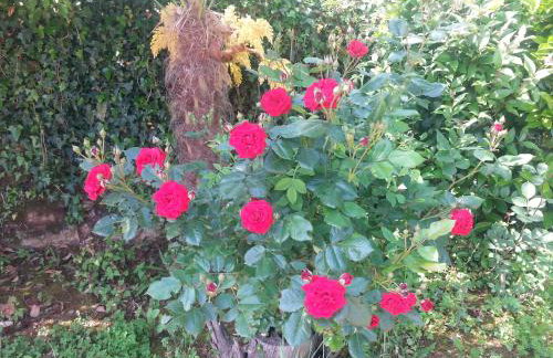 Apartment Opatija Lovran - Foto 69