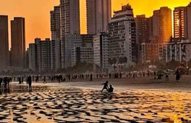 Viver a vida - Photo 59