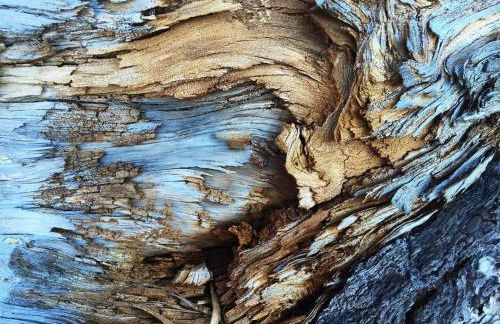 Wildgrün Mini Lodge 2 - Foto 12