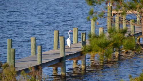 3BR Cottage Waterfront Wade Creek Fishing Boating - Foto 3