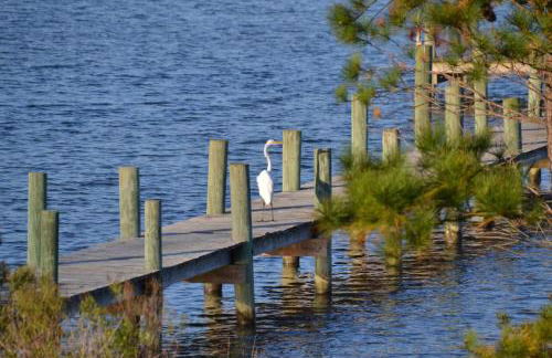 Waterfront Home 3BR King bed Private Dock - Foto 18