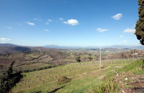 La casina di Bonucci - Foto 15