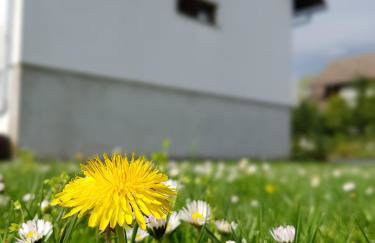 Apartman MAURO - Foto 19