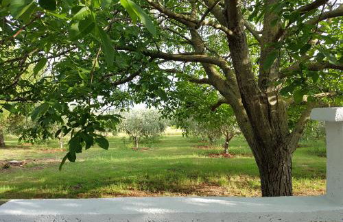 Villa Rosa with yard and children's playground - Foto 47