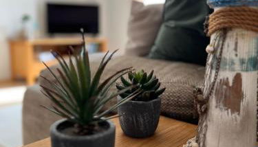 Ferienwohnung Sonnenschein - Foto 5